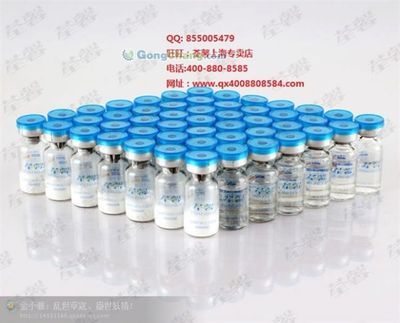 河源市委老干部局 傳承紅色基因，服務銀發群體的重要力量